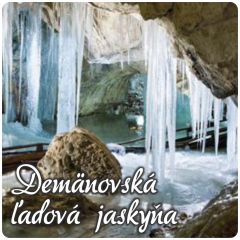 dps_dlj01