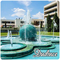 dps_du01