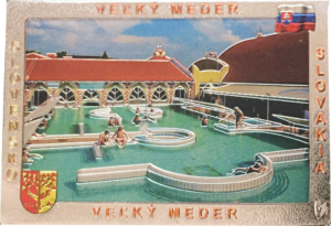 mh_vm01