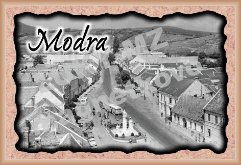 modra_41 modra_41