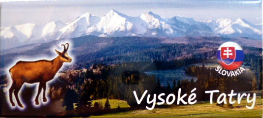 vysoke_tatry_kamzik