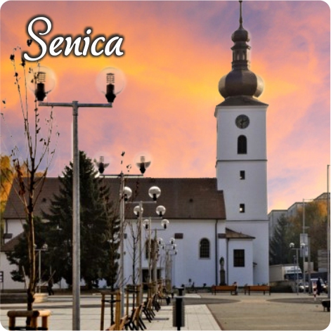 DPS-SE01_magnetka_drevena_stvorec_senica