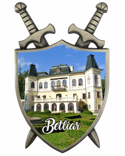 ST-BE01a