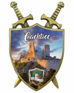 ST-CA01