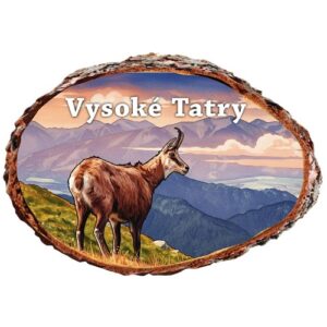 DP-VT11 magnetka vysoke tatry
